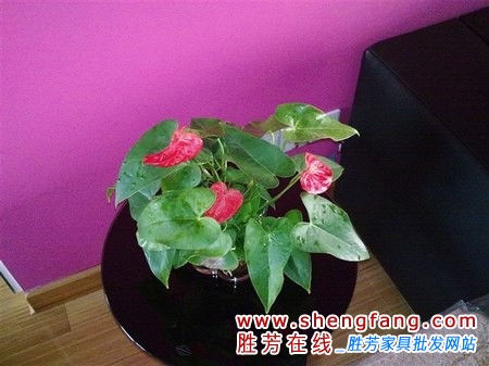 十萬(wàn)極具性價(jià)比的婚房裝修方案