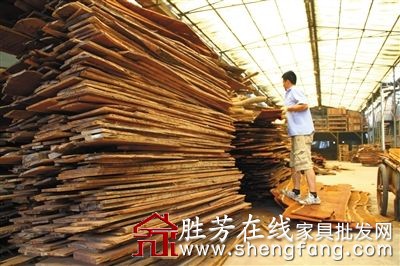 業(yè)內(nèi)人士認為，從原木上取材，利用率高于板材。資料圖片