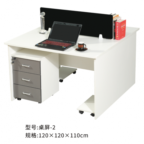 勝芳辦公桌批發(fā) 寫字臺批發(fā) 電腦臺 電腦臺式桌 家用桌子 帶抽屜辦公桌 書房桌子 臥室書桌簡約學生學習桌 一體寫字桌 簡易辦公桌 泰瑞家居