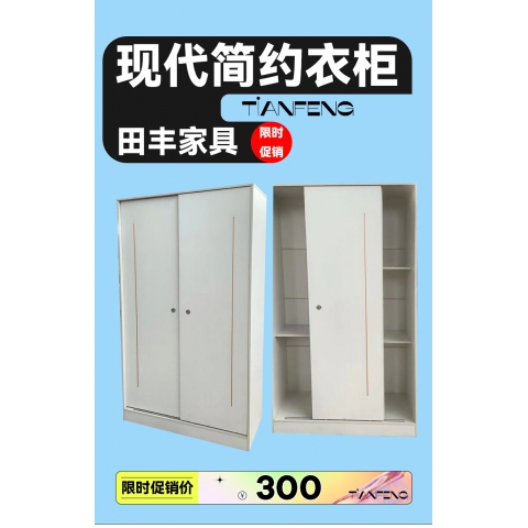 勝芳家具批發(fā) 衣柜 木質(zhì)衣柜 兩開門衣柜 板式衣柜批發(fā) 兩開門衣柜 現(xiàn)代簡(jiǎn)約衣柜 臥室家具 田豐家具