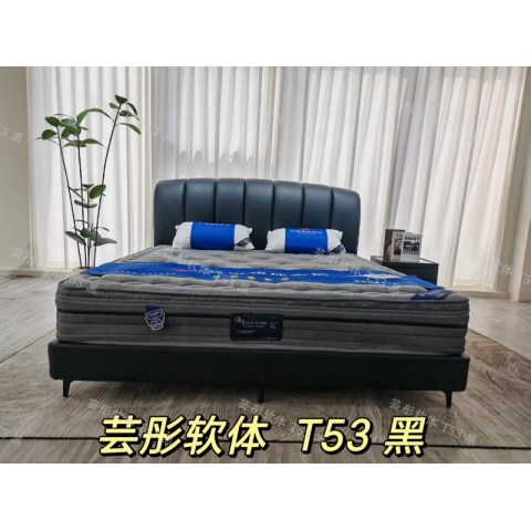 勝芳床鋪批發(fā) 雙人床 軟床 現(xiàn)代簡約軟床 北歐輕奢軟床 臥室家具 小戶型家具 高檔床 高端床 宇鑫家具