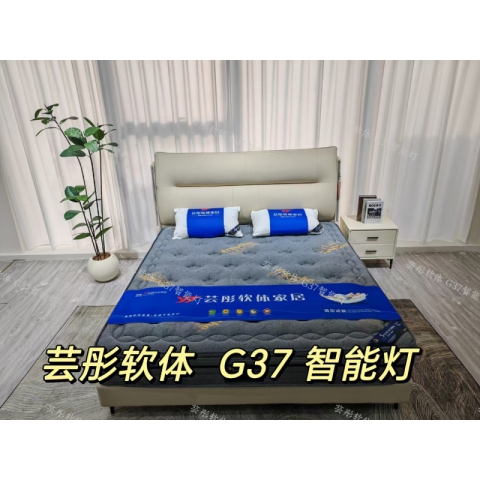 勝芳床鋪批發(fā) 雙人床 軟床 現(xiàn)代簡(jiǎn)約軟床 北歐輕奢軟床 臥室家具 小戶(hù)型家具 高檔床 高端床 宇鑫家具