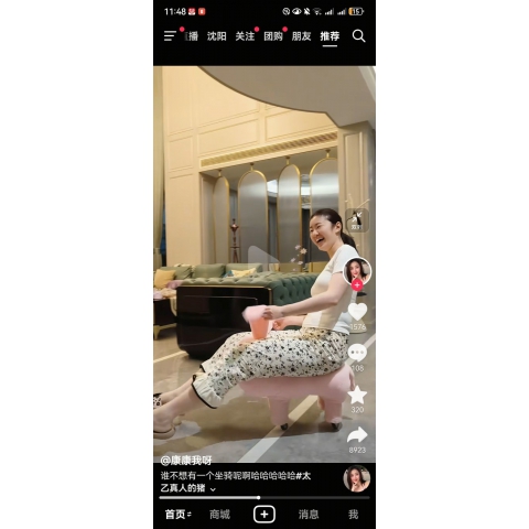 勝芳寵物凳批發(fā) 換鞋凳 儲物凳 寵物凳飛天豬矮凳 坐墩 方皮墩批發(fā) 客廳家具 臥室家具皮墩_儲物凳 雙強家具