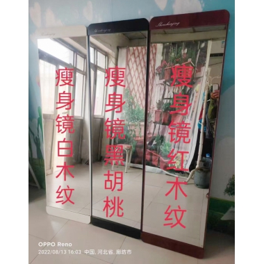 勝芳穿衣鏡批發(fā) 全身鏡 試衣鏡 落地鏡 服裝店鏡子 臥室長鏡子 瘦身鏡 全身鏡 簡約 立體 移動(dòng) 家用 天晟家具