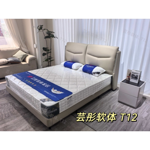 勝芳床鋪批發(fā) 雙人床 軟床 現(xiàn)代簡約軟床 北歐輕奢軟床 臥室家具 小戶型家具 高檔床 高端床 宇鑫家具